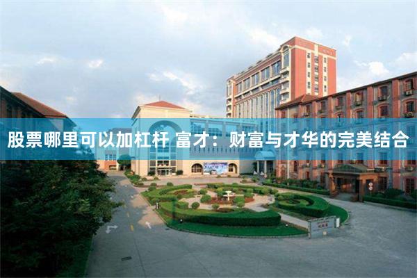 股票哪里可以加杠杆 富才：财富与才华的完美结合