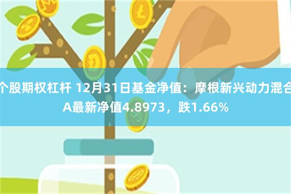 个股期权杠杆 12月31日基金净值：摩根新兴动力混合A最新净值4.8973，跌1.66%