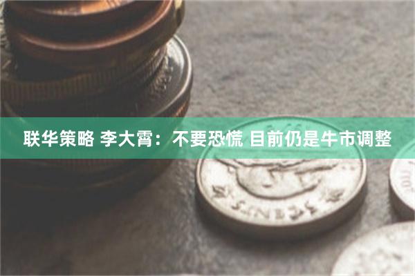 联华策略 李大霄：不要恐慌 目前仍是牛市调整