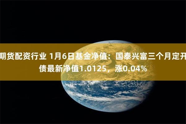 期货配资行业 1月6日基金净值：国泰兴富三个月定开债最新净值1.0125，涨0.04%