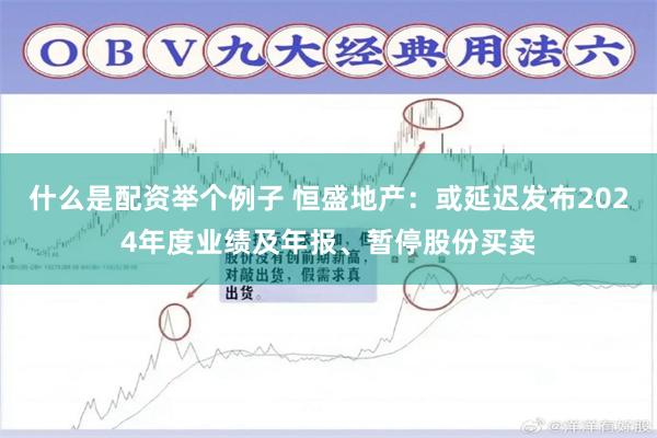 什么是配资举个例子 恒盛地产：或延迟发布2024年度业绩及年报、暂停股份买卖