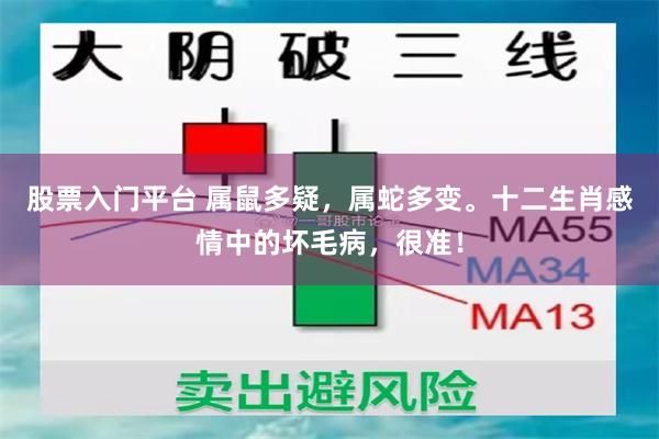 股票入门平台 属鼠多疑，属蛇多变。十二生肖感情中的坏毛病，很准！