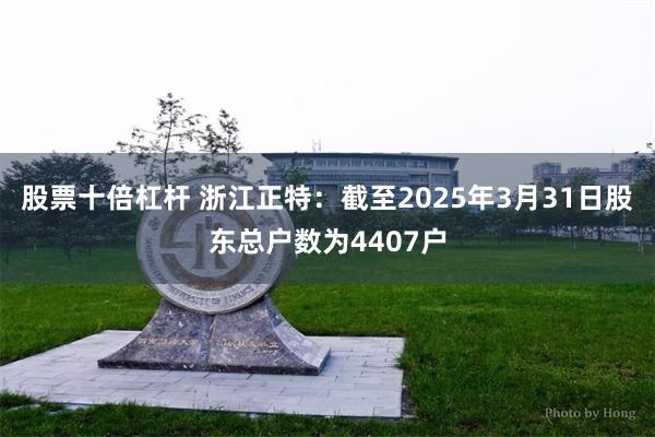 股票十倍杠杆 浙江正特：截至2025年3月31日股东总户数为4407户
