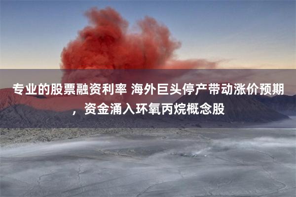 专业的股票融资利率 海外巨头停产带动涨价预期，资金涌入环氧丙烷概念股