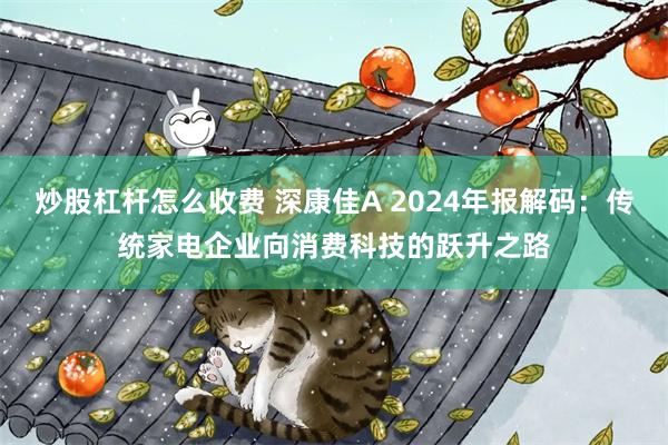 炒股杠杆怎么收费 深康佳A 2024年报解码：传统家电企业向消费科技的跃升之路
