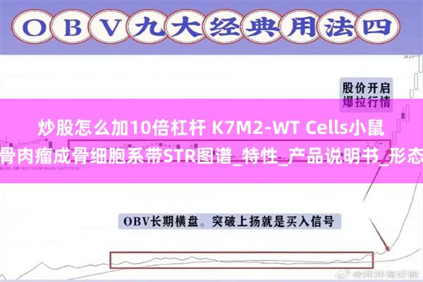 炒股怎么加10倍杠杆 K7M2-WT Cells小鼠骨肉瘤成骨细胞系带STR图谱_特性_产品说明书_形态