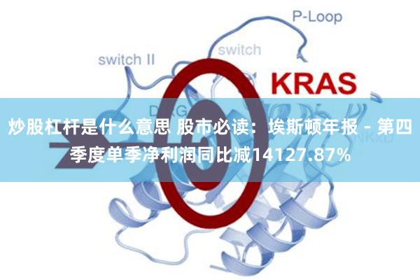 炒股杠杆是什么意思 股市必读：埃斯顿年报 - 第四季度单季净利润同比减14127.87%