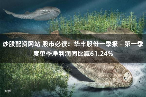 炒股配资网站 股市必读：华丰股份一季报 - 第一季度单季净利润同比减61.24%