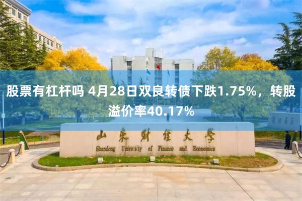 股票有杠杆吗 4月28日双良转债下跌1.75%，转股溢价率40.17%