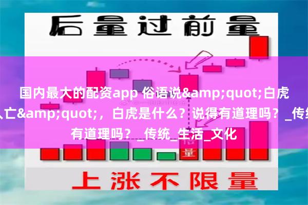 国内最大的配资app 俗语说&quot;白虎穿堂，家败人亡&quot;，白虎是什么？说得有道理吗？_传统_生活_文化