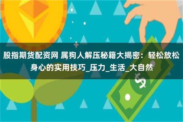 股指期货配资网 属狗人解压秘籍大揭密：轻松放松身心的实用技巧_压力_生活_大自然