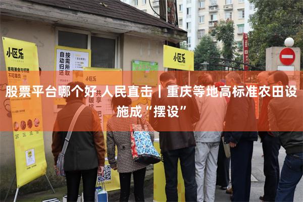 股票平台哪个好 人民直击｜重庆等地高标准农田设施成“摆设”