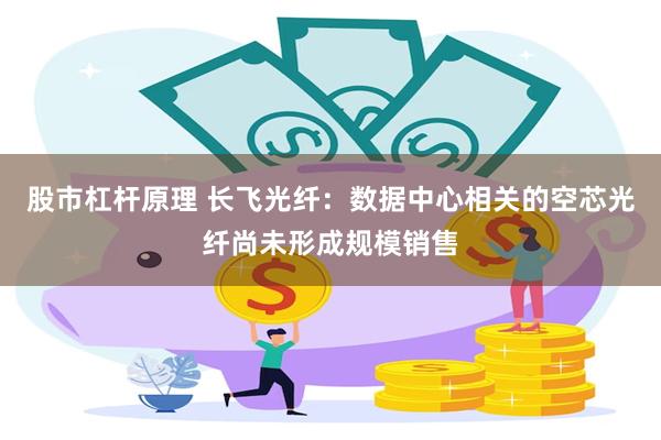 股市杠杆原理 长飞光纤：数据中心相关的空芯光纤尚未形成规模销售