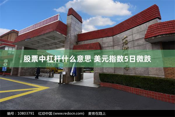 股票中杠杆什么意思 美元指数5日微跌