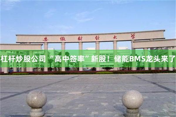 杠杆炒股公司 “高中签率”新股！储能BMS龙头来了