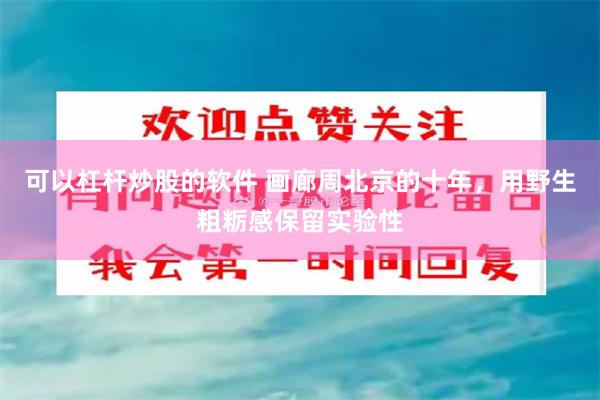 可以杠杆炒股的软件 画廊周北京的十年,用野生粗粝感保留实验性
