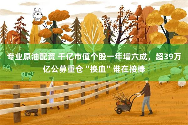 专业原油配资 千亿市值个股一年增六成，超39万亿公募重仓“换血”谁在接棒