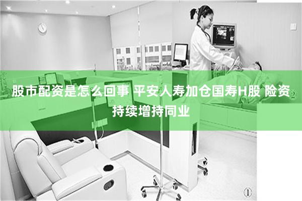 股市配资是怎么回事 平安人寿加仓国寿H股 险资持续增持同业