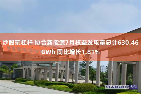 炒股玩杠杆 协合新能源7月权益发电量总计630.46GWh 同比增长1.81%