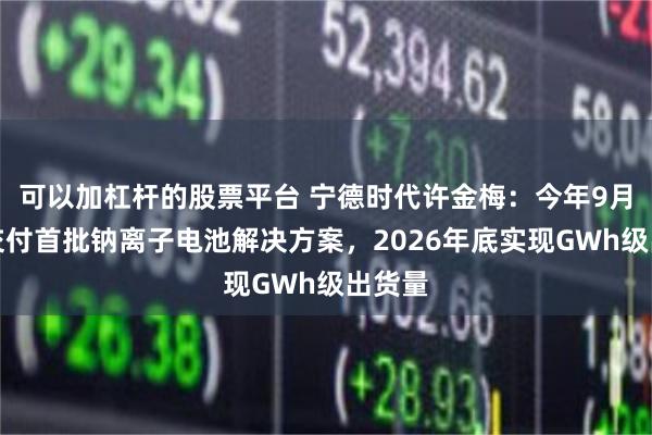 可以加杠杆的股票平台 宁德时代许金梅：今年9月开始交付首批钠离子电池解决方案，2026年底实现GWh级出货量
