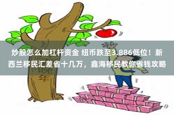炒股怎么加杠杆资金 纽币跌至3.886低位！新西兰移民汇差省十几万，鑫海移民教你省钱攻略