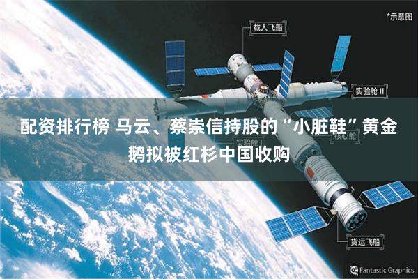 配资排行榜 马云、蔡崇信持股的“小脏鞋”黄金鹅拟被红杉中国收购