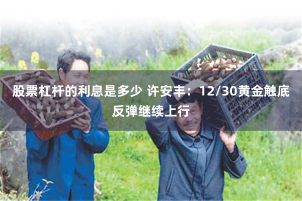 股票杠杆的利息是多少 许安丰：12/30黄金触底反弹继续上行