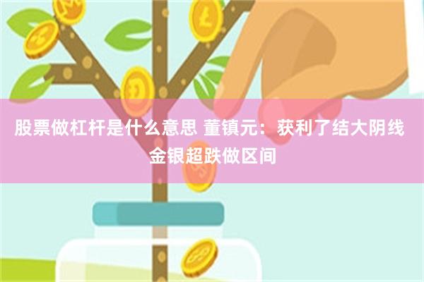 股票做杠杆是什么意思 董镇元:获利了结大阴线 金银超跌做区间