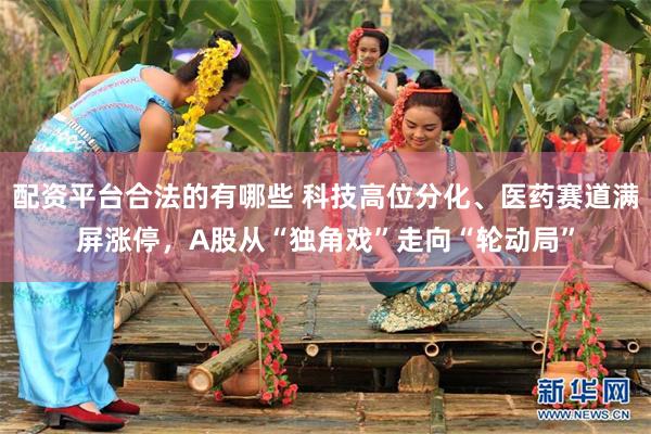 配资平台合法的有哪些 科技高位分化、医药赛道满屏涨停，A股从“独角戏”走向“轮动局”