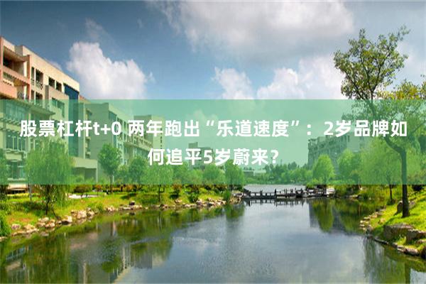 股票杠杆t+0 两年跑出“乐道速度”：2岁品牌如何追平5岁蔚来？