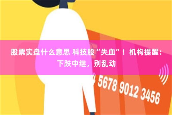股票实盘什么意思 科技股“失血”！机构提醒：下跌中继，别乱动