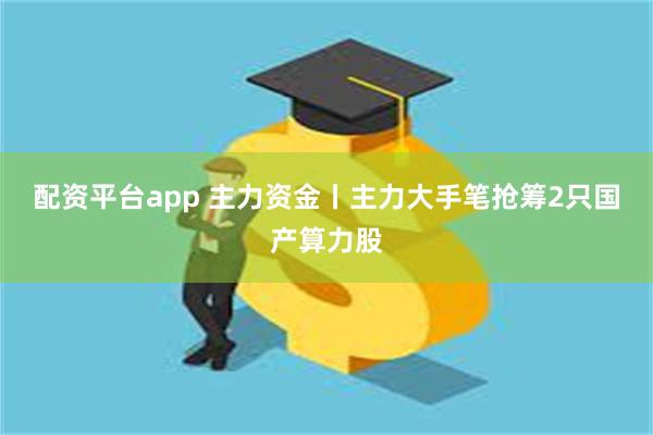 配资平台app 主力资金丨主力大手笔抢筹2只国产算力股