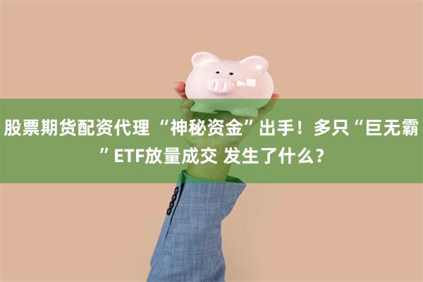 股票期货配资代理 “神秘资金”出手！多只“巨无霸”ETF放量成交 发生了什么？