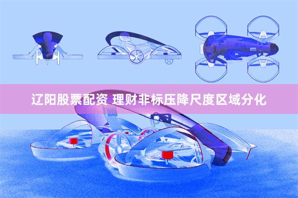 辽阳股票配资 理财非标压降尺度区域分化
