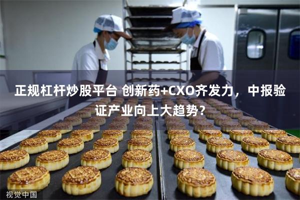 正规杠杆炒股平台 创新药+CXO齐发力，中报验证产业向上大趋势？
