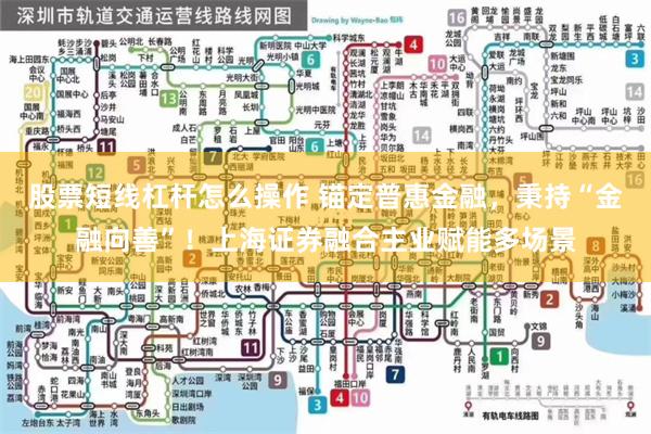 股票短线杠杆怎么操作 锚定普惠金融，秉持“金融向善”！上海证券融合主业赋能多场景