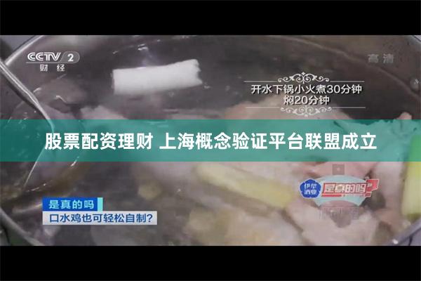 股票配资理财 上海概念验证平台联盟成立
