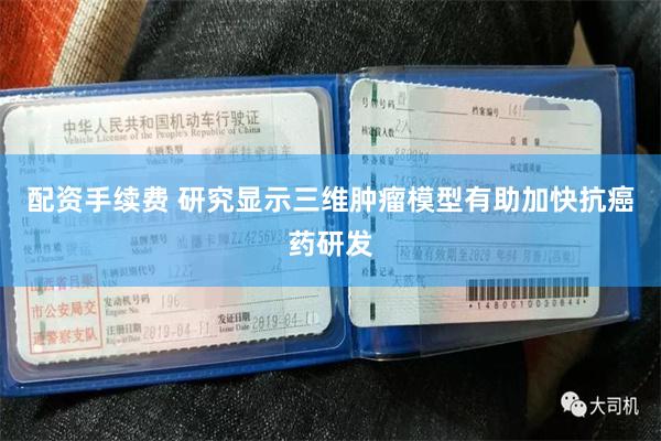 配资手续费 研究显示三维肿瘤模型有助加快抗癌药研发