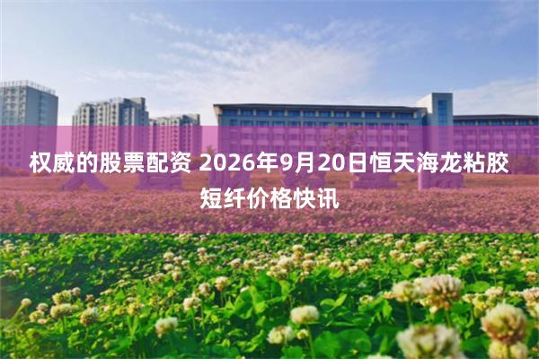 权威的股票配资 2026年9月20日恒天海龙粘胶短纤价格快讯