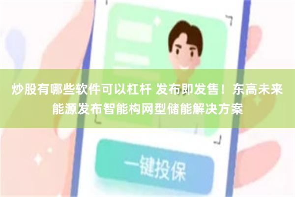 炒股有哪些软件可以杠杆 发布即发售！东高未来能源发布智能构网型储能解决方案