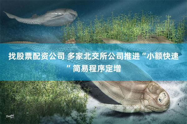 找股票配资公司 多家北交所公司推进“小额快速”简易程序定增