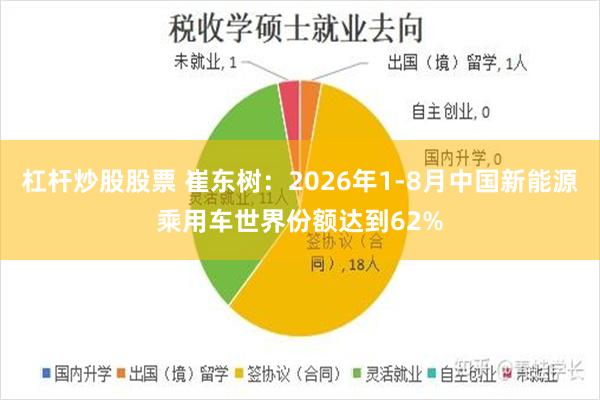 杠杆炒股股票 崔东树:2026年1-8月中国新能源乘用车世界份额达到62%