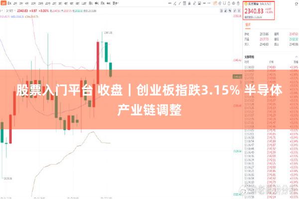 股票入门平台 收盘｜创业板指跌3.15% 半导体产业链调整