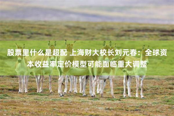 股票里什么是超配 上海财大校长刘元春：全球资本收益率定价模型可能面临重大调整