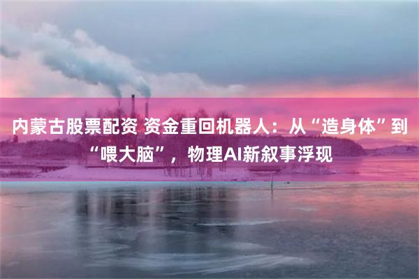 内蒙古股票配资 资金重回机器人：从“造身体”到“喂大脑”，物理AI新叙事浮现