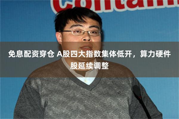 免息配资穿仓 A股四大指数集体低开，算力硬件股延续调整